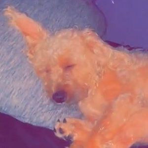 Meet your Posher, Aaliyah